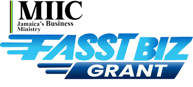 MIIC FASST Biz Grant